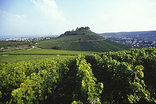 Württemberg Weinregion